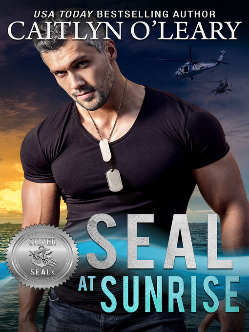 Title details for SEAL at Sunrise by Caitlyn O'Leary - Available